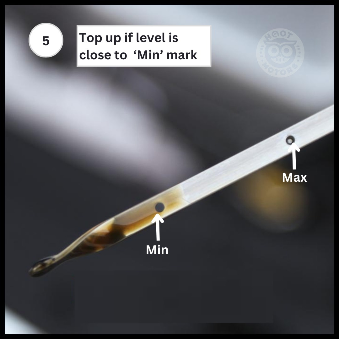 How to Check Your Oil: Best Time and Step-by-Step Guide