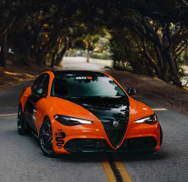 Cars for Sale in Gainesville, MO