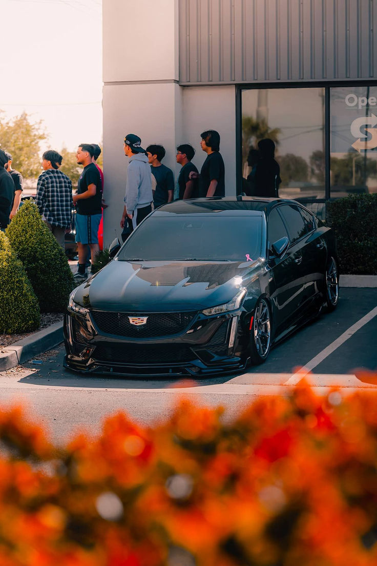 Cars for Sale in Malden, MO