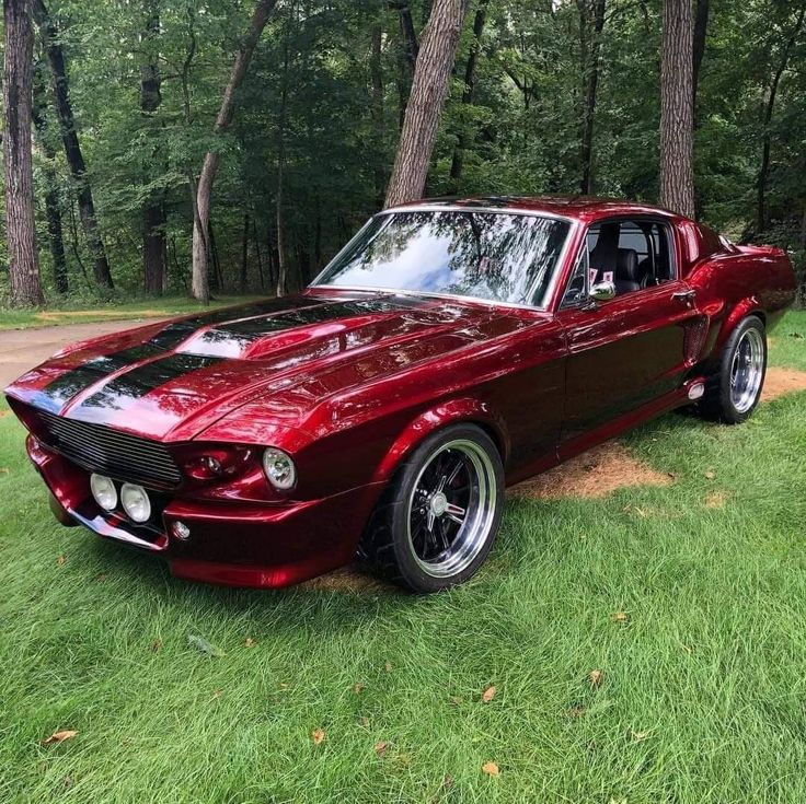 Cars for Sale in Rolling Fields, KY