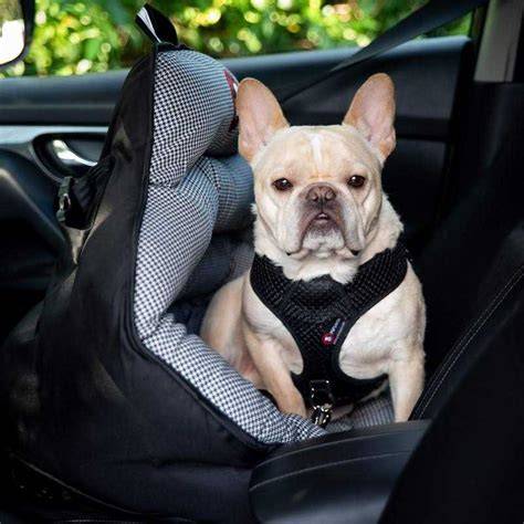 PupSaver 45 Rear-Facing Canine Car Seat: Comprehensive Review