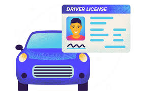 Comprehensive Analysis: Best and Worst States for Teen Drivers | MotorVero