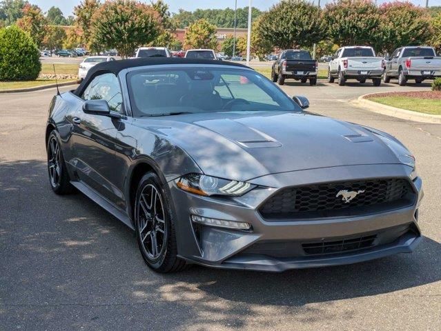 Cars for sale in Gaymon, Oklahoma.