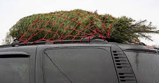 5 Essential Tips for Securely Tying and Transporting Your Christmas Tree