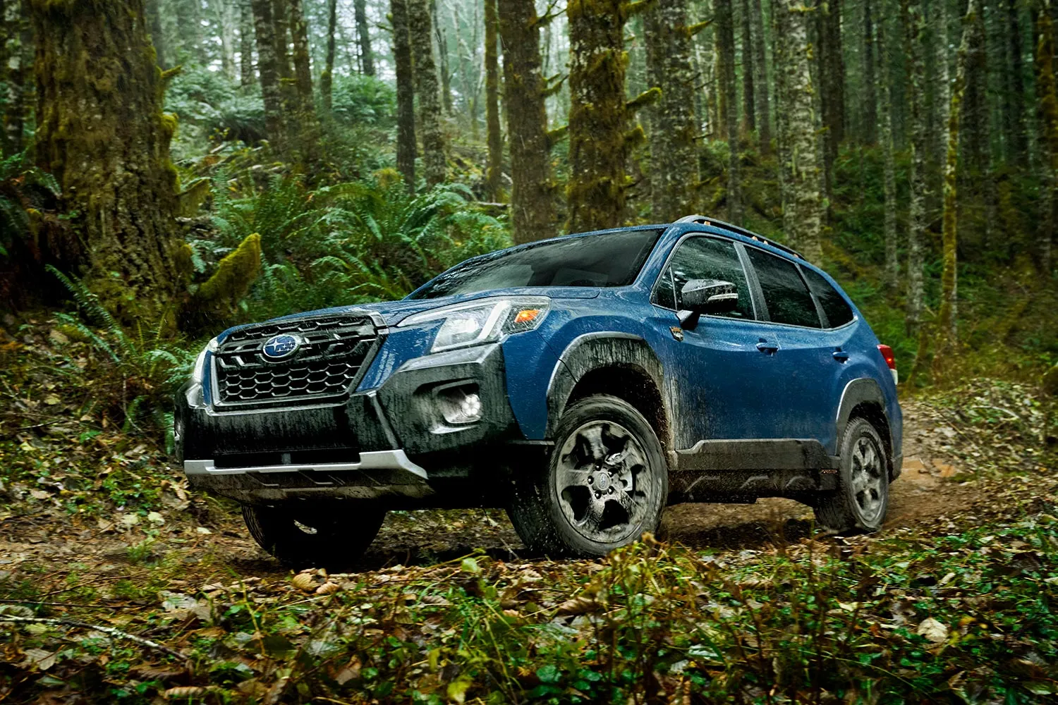 2026 Subaru Forester Wilderness Aims to Compete in the Rugged SUV Segment